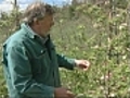 Apple farmers concerned for this year’s crop