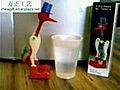 The Infamous Drinking Bird