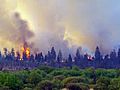 Hohes Venn: Großfeuer zerstört Hochmoor