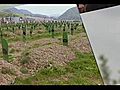 De Donderdag Documentaire: De vrouwen van Srebrenica 07-07-2005