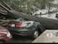 Brutal Storms Down Trees,  Power Lines In Tri-State