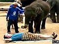 Il se fait masser par un éléphant !