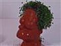 Hairy Homer Chia Pet