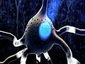 Optogenetics: A light switch for neurons