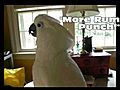 Jabu King of the Hood.mp4
