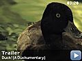 Duck! (a duckumentary)