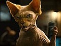 &#039;Cats & Dogs: The Revenge of Kitty Galore&#039; Trailer