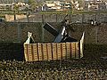 First Person: Chopper Used in Raid a Surprise
