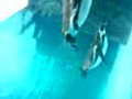 おもしろムービー 第二弾
