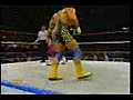 WWF(1-11-1994)-HartBrothers(Bret;Owen)vs.TheSteinerBrothers