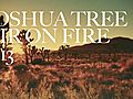 JOSHUA TREE - AIR ON FIRE 13#