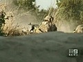 Aussie soldier killed in Taliban gunfight