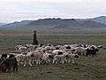 Sonne über der Steppe – Solarstrom und Wasserkraft in der  Mongolei