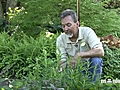 June Gardening Tips - Pest Control