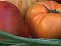 Making Gazpacho