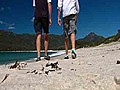 Best beaches: Tasmania beaches