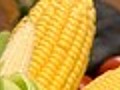 Cooking with sweet corn