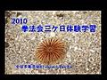 2010三ケ日体験学習拳法会学校　