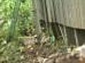 No Luck Catching Mountain Lion In Metro Area