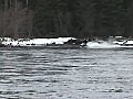 Alaska snowmobile vs jet boat extreme sports