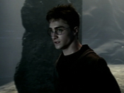 Final Harry Potter movie: 