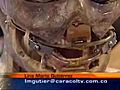 Caracol news,  Colombia, about the colombian animatronic