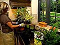 Packing Houseplants for a Move