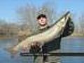 DNR May Stock Muskies In 5 More Minn. Waters