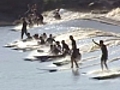 Surfer sur un mascaret