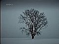 苏志燮 - Sony α700 α200 CF