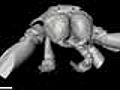 Scientists revive ancient spider in stunning 3D detail