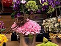 Spring Floral Decor