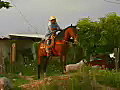 Royalty Free Stock Video SD Footage Mexican Cowboy Sits on a Horse at a Ranch in Puerto Vallarta,  Mexico