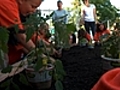 YWCA Gardening and Planter Building Project