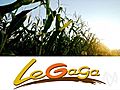 Thursday Sector Laggards: Agriculture & Farm Products,  Defense Stocks