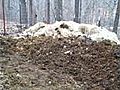 Horse Manure Compost Fayetteville Arkansas