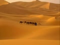 Desert Safari Excursions Quad Runner in Sharm el sheikh   Quad biking in Sharm desert