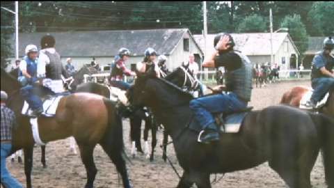 Backstretch Photos