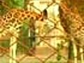 Alipur zoo: A special report by NDTV’s child reporter