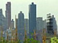 Urban farms sprout on NYC rooftops