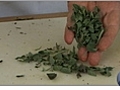 How To Cut Sage