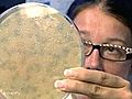 Mr Biotech: the Man Making Millions with Bacteria
