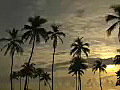 Royalty Free Stock Video HD Footage Ft. Lauderdale Beach at Sunrise