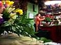 Mrs. DeHaven’s Flower Shop