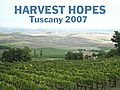 Tuscan Harvest