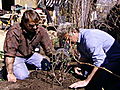 Renovation Nation 2: Permaculture Gardening