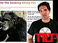 Courtney Love Skanky Twitpic & Smoking Chimp Dies