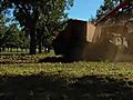 Pecan farmers see a skimpier harvest this year