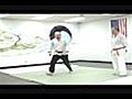 Hapkido: Side Fall