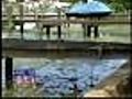 Health Officials Warn Of Bacteria In Bay
